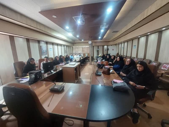 سامانه نسخه پیچی الکترونیکی در روستاهای تویسرکان تقویت شد